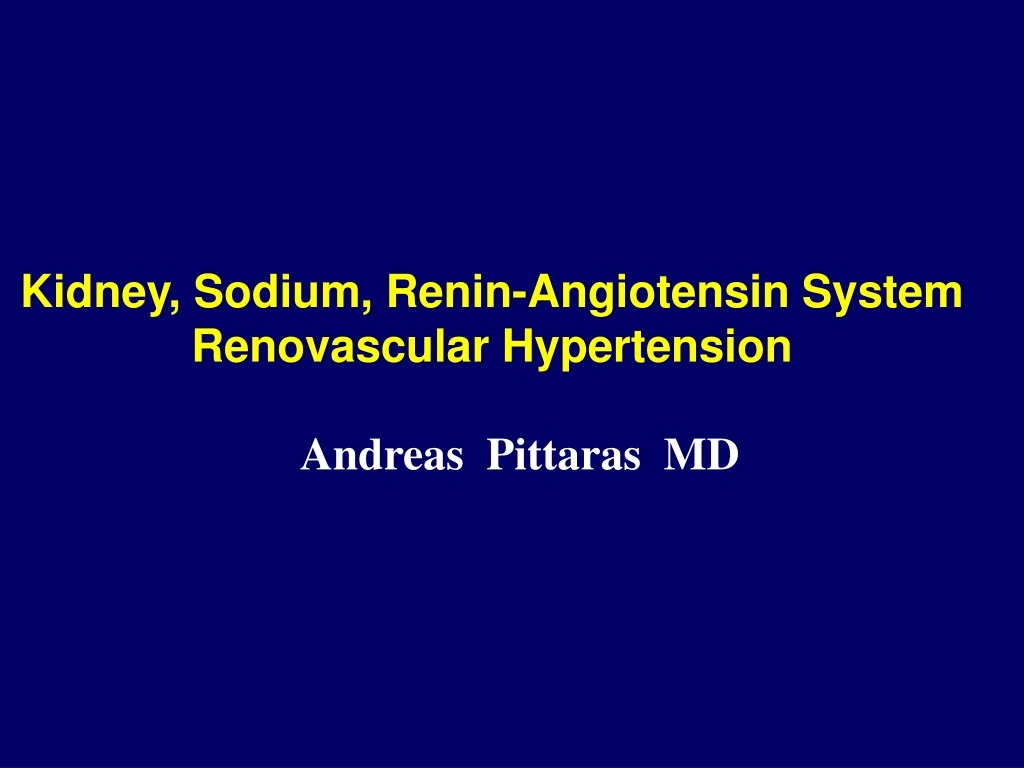 kidney sodium renin angiotensin system