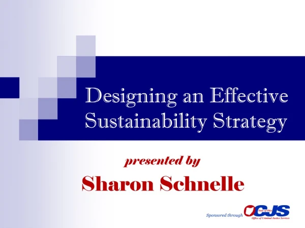 Designing an Effective Sustainability Strategy