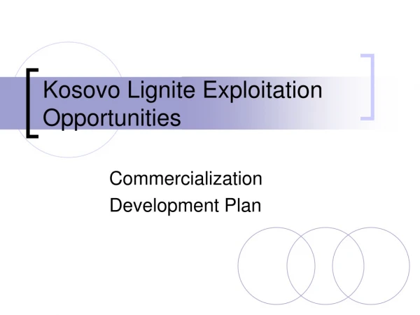 Kosovo Lignite Exploitation Opportunities