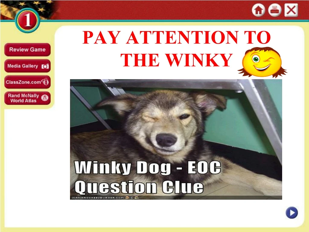 pay attention to the winky