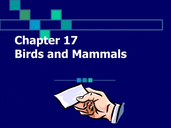 Chapter 17 Birds and Mammals