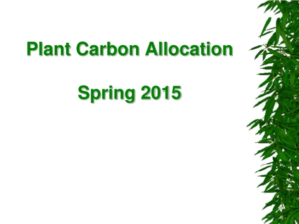 Plant Carbon Allocation Spring 2015