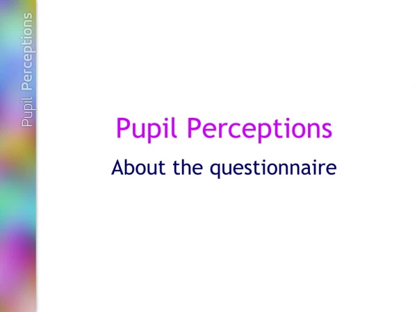 Pupil Perceptions