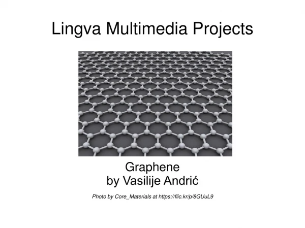 Lingva Multimedia Projects