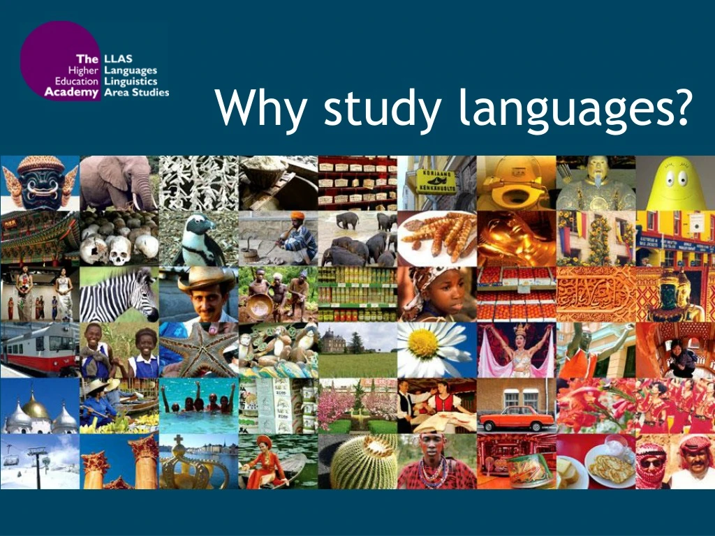 why study languages