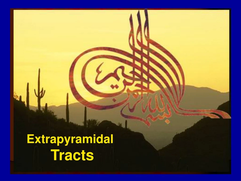 extrapyramidal tracts