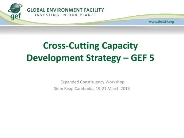 Cross-Cutting Capacity Development Strategy – GEF 5