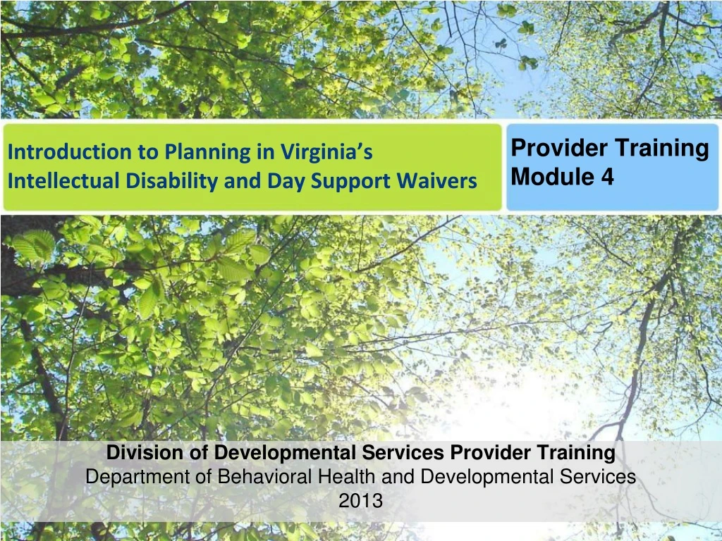 introduction to planning in virginia s intellectual disability and day support waivers