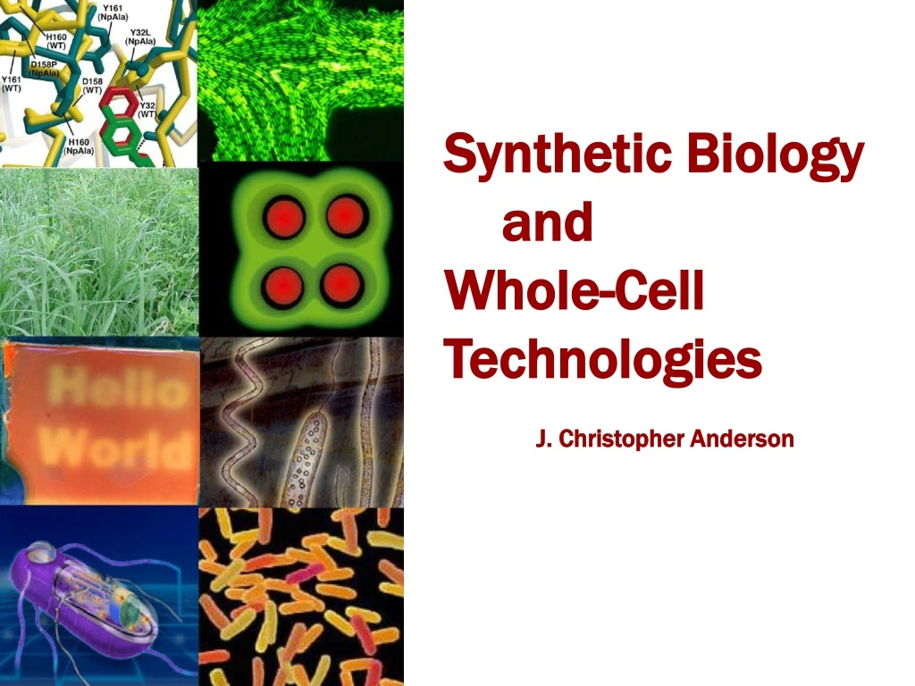 synthetic biology and whole cell technologies