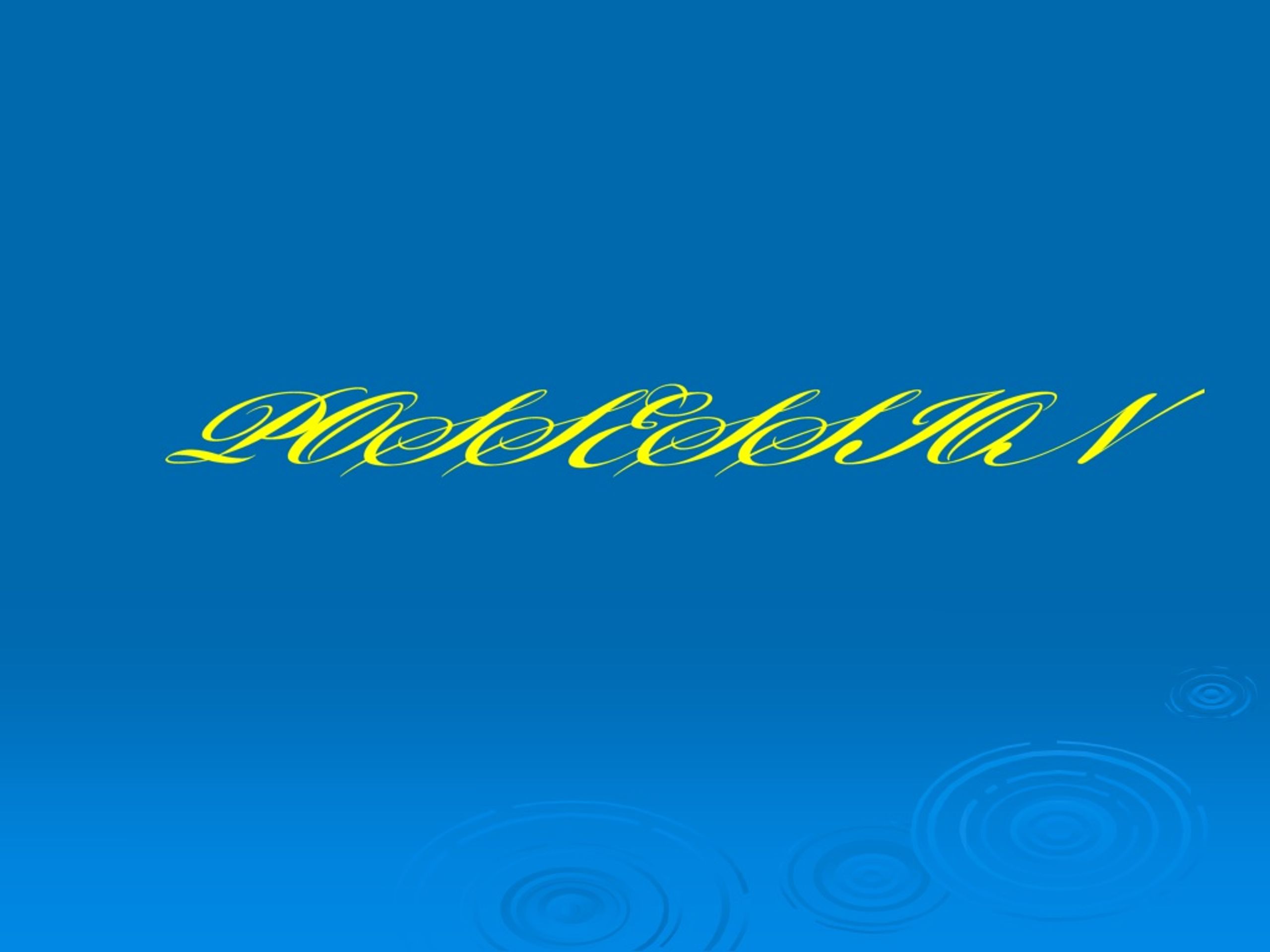 Mastering Possession in Spanish: Verbs, "De", and Possessive Adjectives - slide 1
