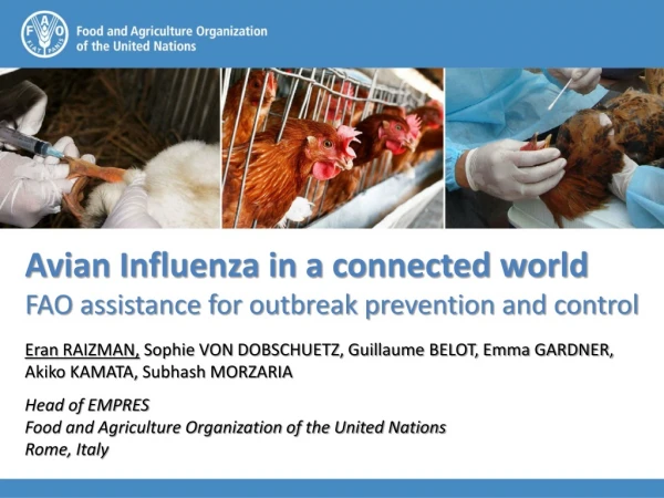 Avian Influenza in a connected world FAO assistance for outbreak prevention and control