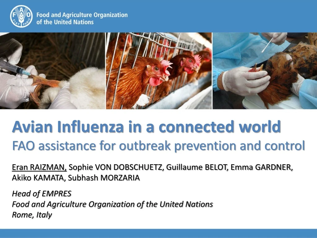 avian influenza in a connected world