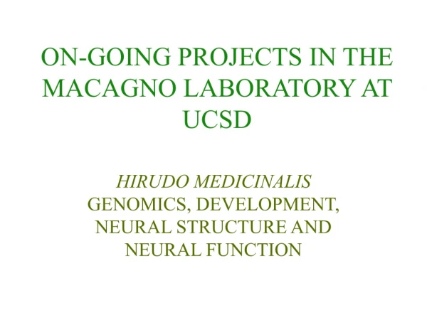 ON-GOING PROJECTS IN THE MACAGNO LABORATORY AT UCSD
