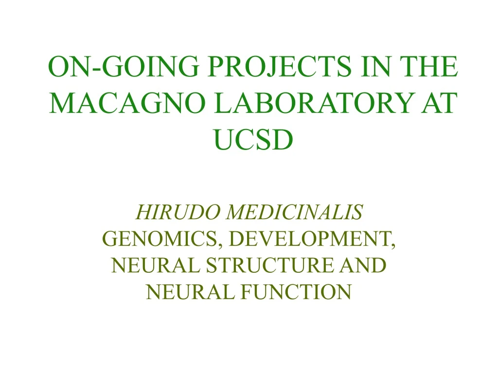 on going projects in the macagno laboratory at ucsd