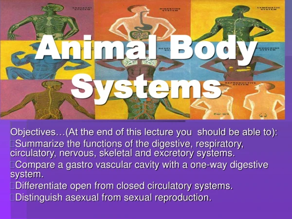 Animal Body Systems