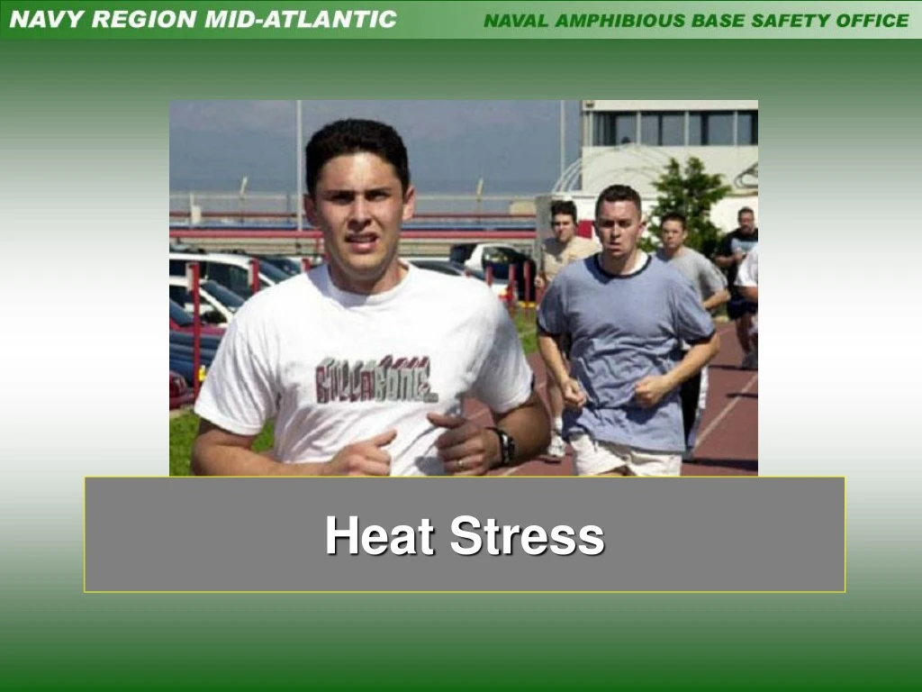 heat stress