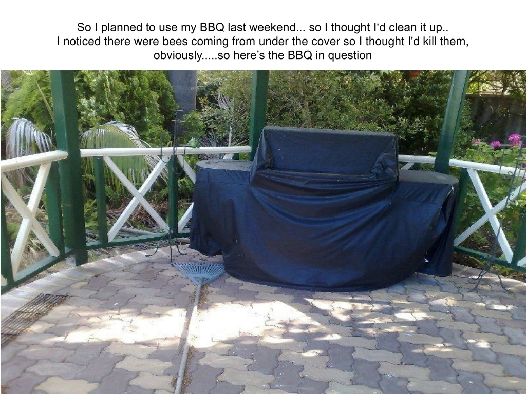 so i planned to use my bbq last weekend