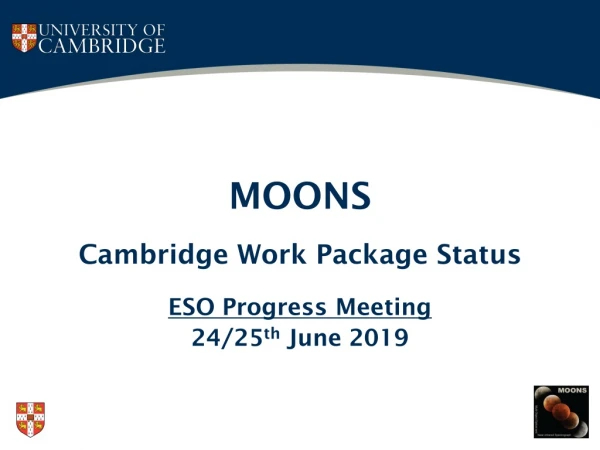 MOONS Cambridge Work Package Status ESO Progress Meeting 24/25 th  June 2019