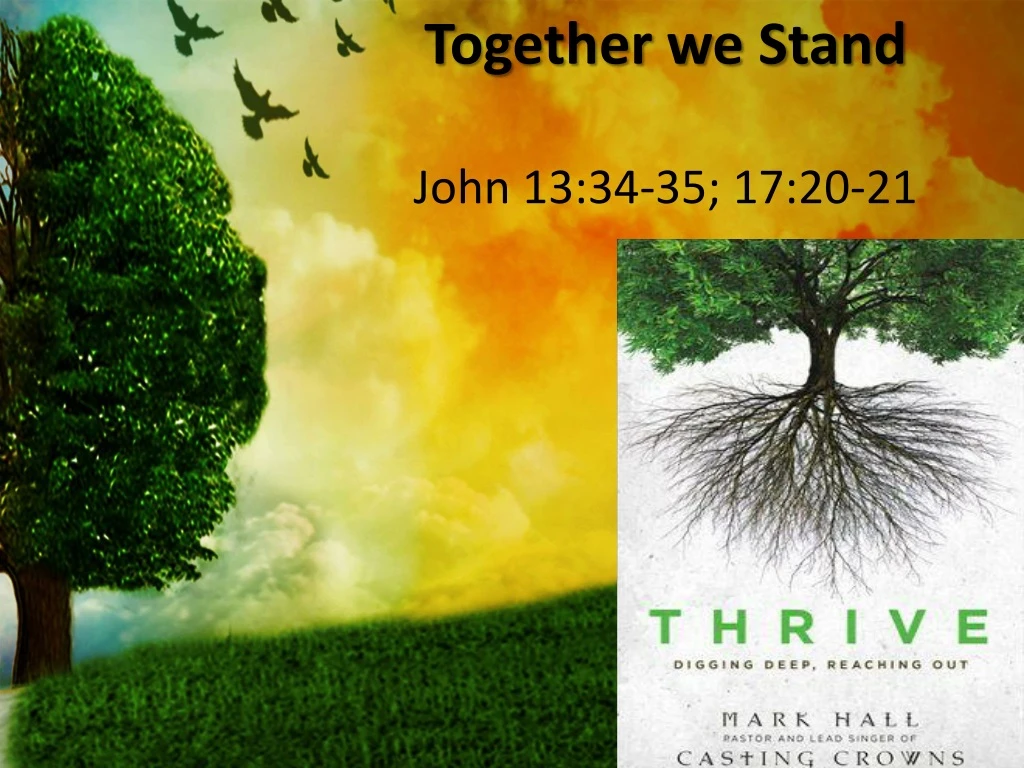 together we stand john 13 34 35 17 20 21