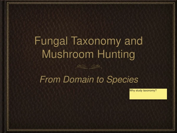 Fungal Taxonomy and Mushroom Hunting