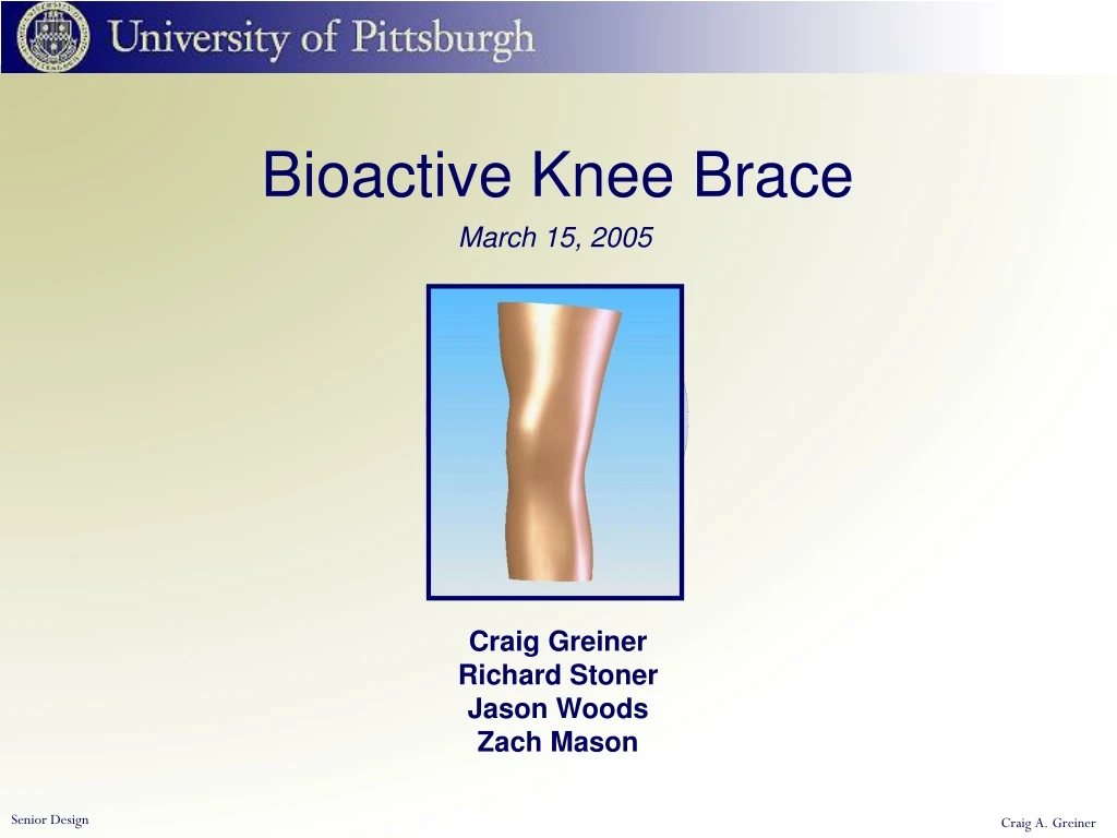 bioactive knee brace