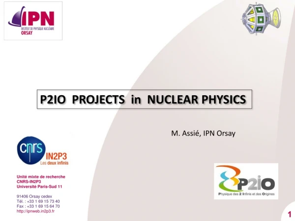 P2IO  PROJECTS  in  NUCLEAR PHYSICS