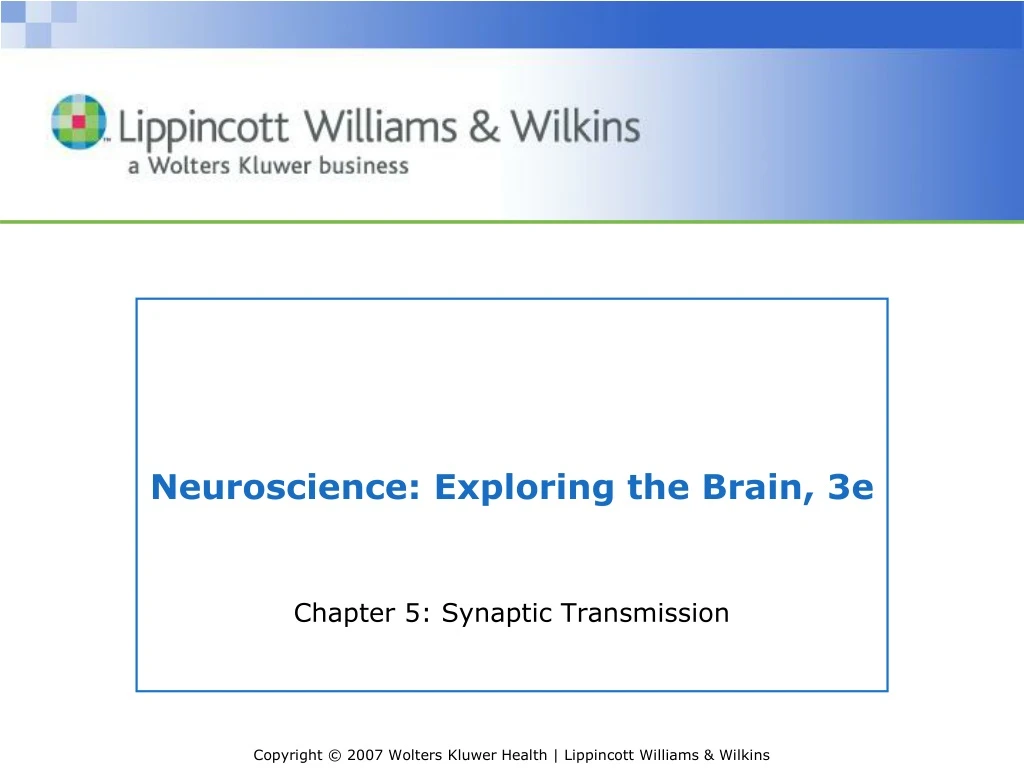 neuroscience exploring the brain 3e