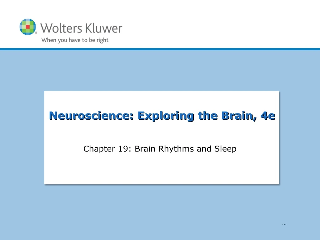 chapter 19 brain rhythms and sleep