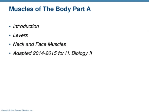 Muscles of The Body Part A