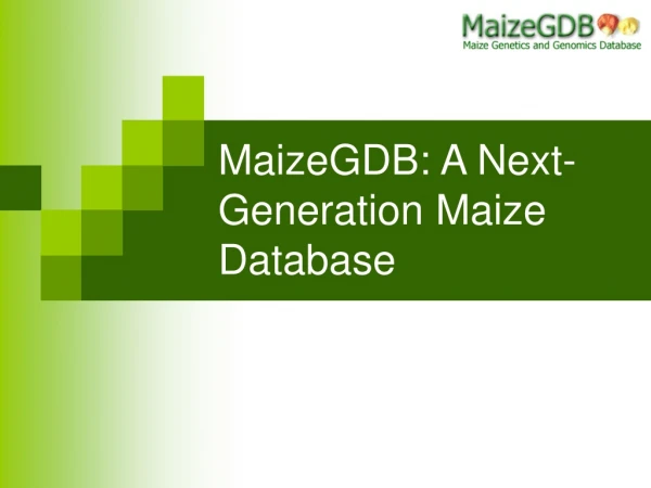 MaizeGDB: A Next-Generation Maize Database