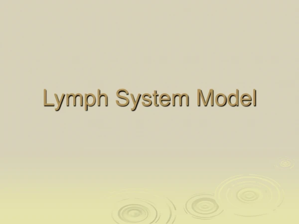 Lymph System Model