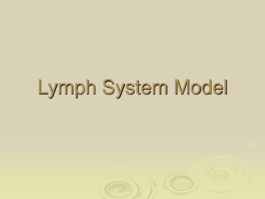 lymph system model