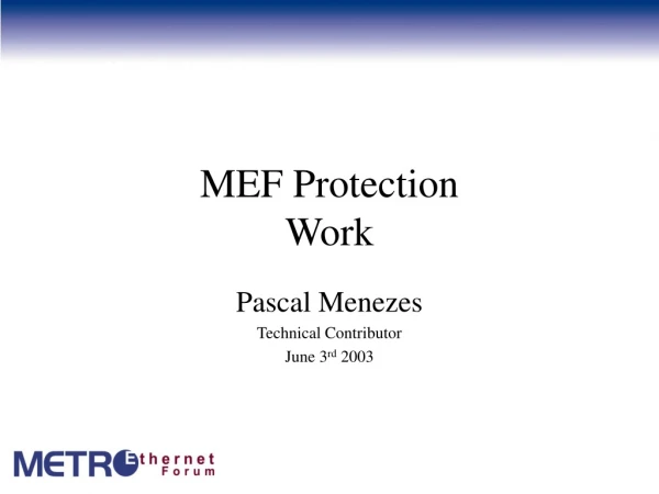 MEF Protection Work