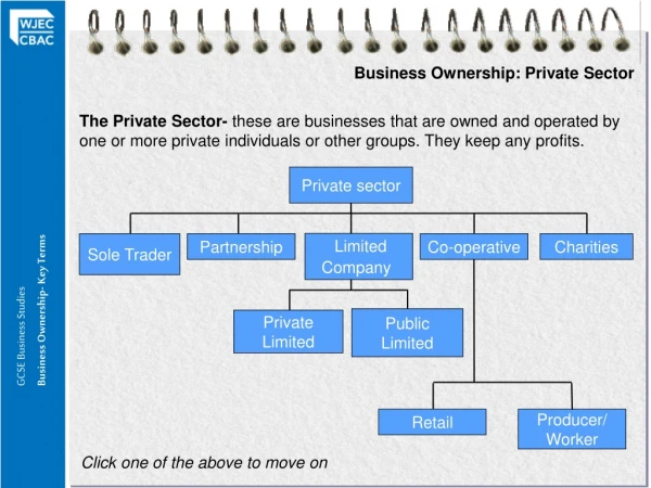 Business Ownership: Private Sector