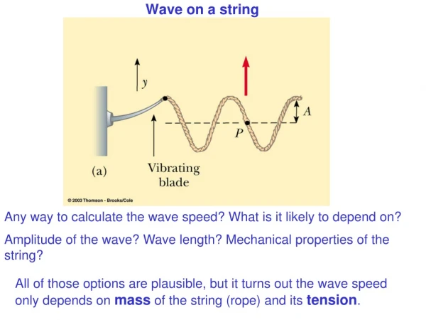 Wave on a string