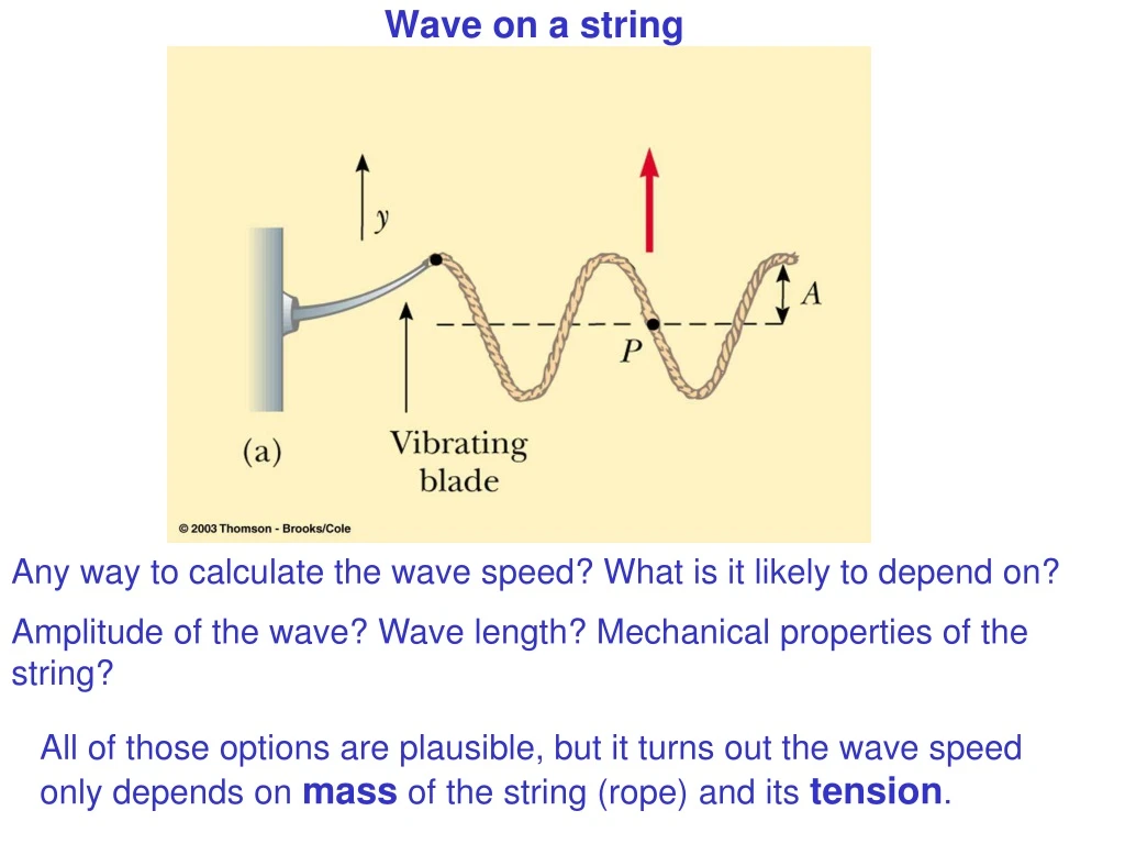 wave on a string