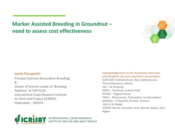 Marker Assisted Breeding in Groundnut – need to assess cost effectiveness
