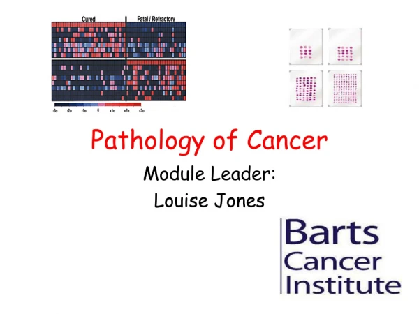 Pathology of Cancer