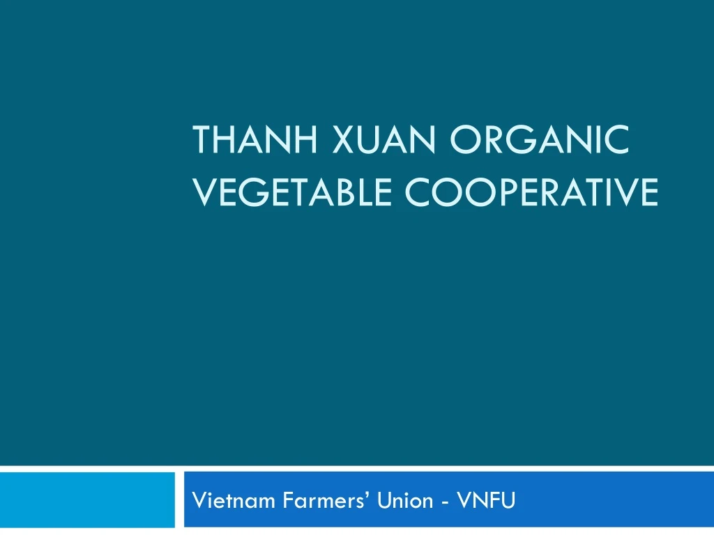 thanh xuan organic vegetable cooperative