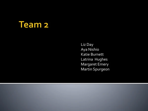 Team 2