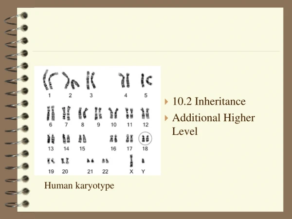 10.2 Inheritance  Additional Higher Level