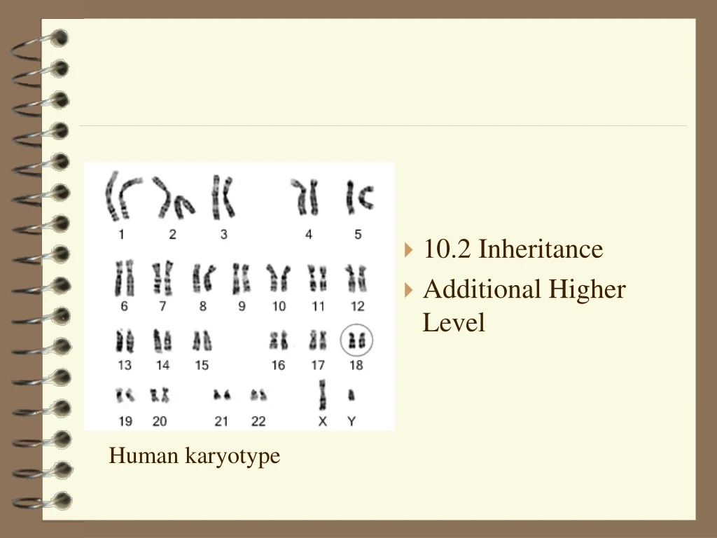 10 2 inheritance additional higher level