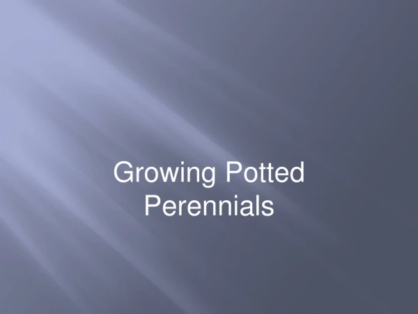 Growing Potted Perennials
