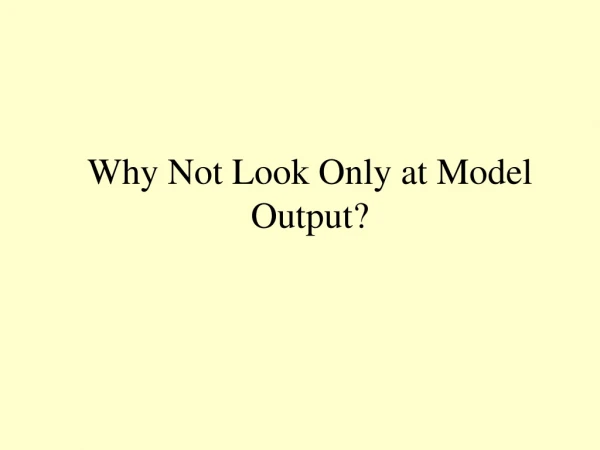 Why Not Look Only at Model Output?