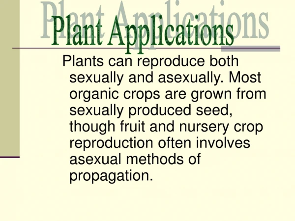 Plant Applications