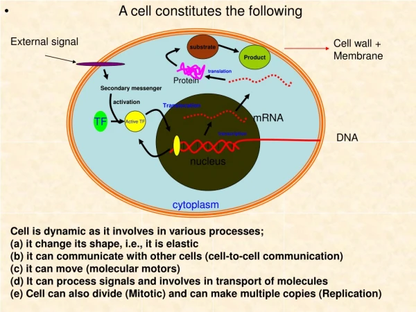 A cell constitutes the following