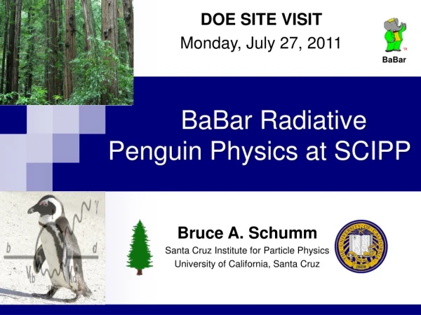 BaBar Radiative Penguin Physics at SCIPP