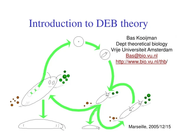 Introduction to DEB theory