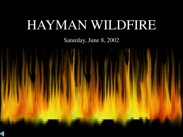 HAYMAN WILDFIRE Saturday, June 8, 2002
