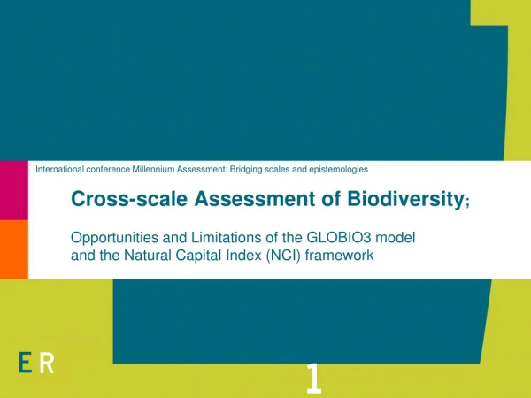 International conference Millennium Assessment: Bridging scales and epistemologies